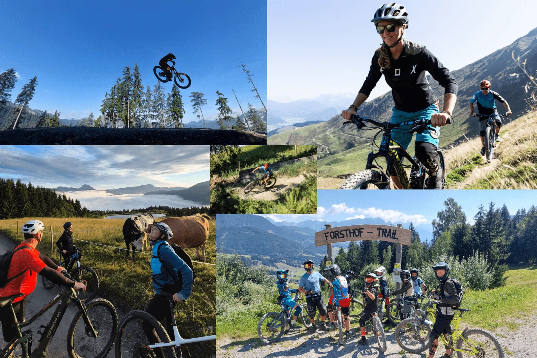Touren_und_Kurse_Collage